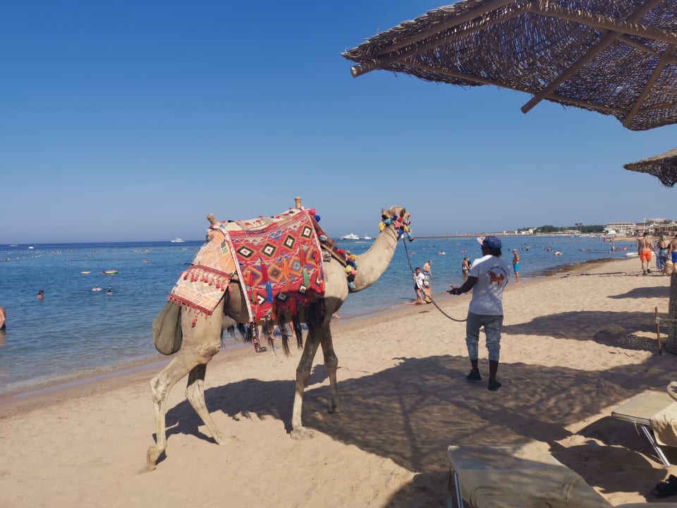 Strand Hotel JAZ Makadi Star & Spa