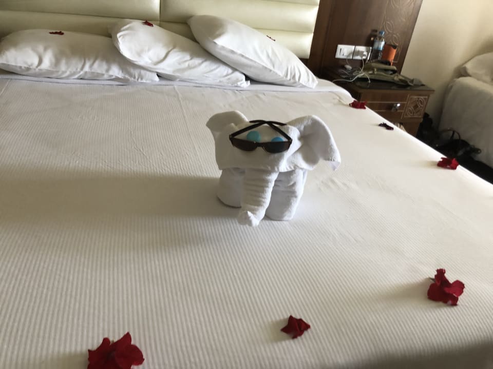 Zimmer Pickalbatros Royal Moderna Resort-Sharm El Sheikh