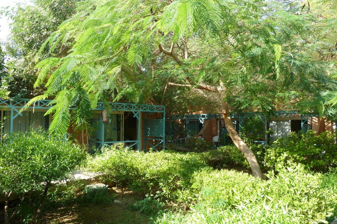 Bungalow Giftun Azur Resort