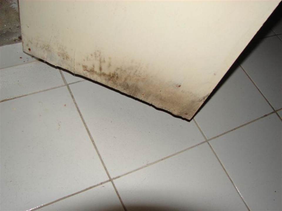 Schimmel Hotel Jagua Affiliated by Meliá