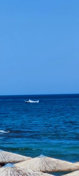 Ausblick allsun Hotel Carolina Mare