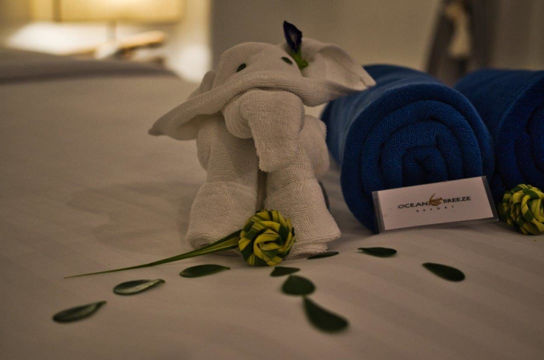 Zimmer Ocean Breeze Resort