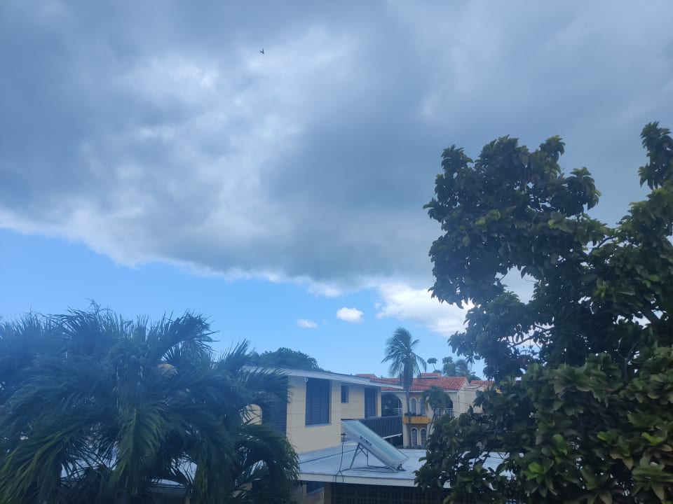 Zimmer Starfish Cuatro Palmas