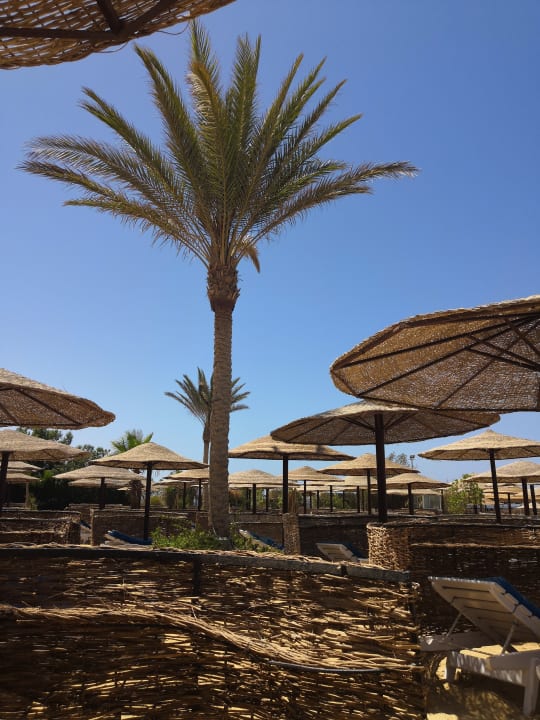 Strand Sea Star Beau Rivage