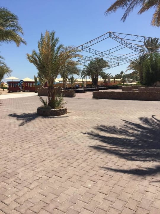 Shishabar  Menaville Safaga