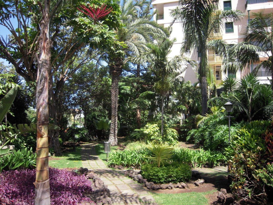 Jardín tropical BLUESEA Costa Jardin Spa