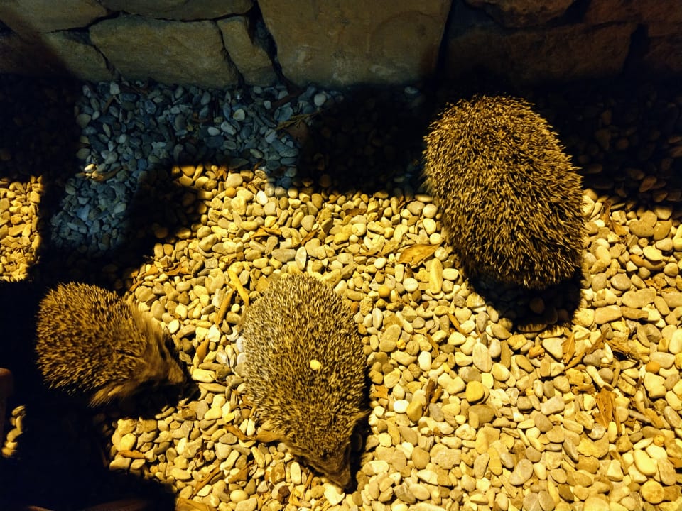 Strand Melas Resort Hotel