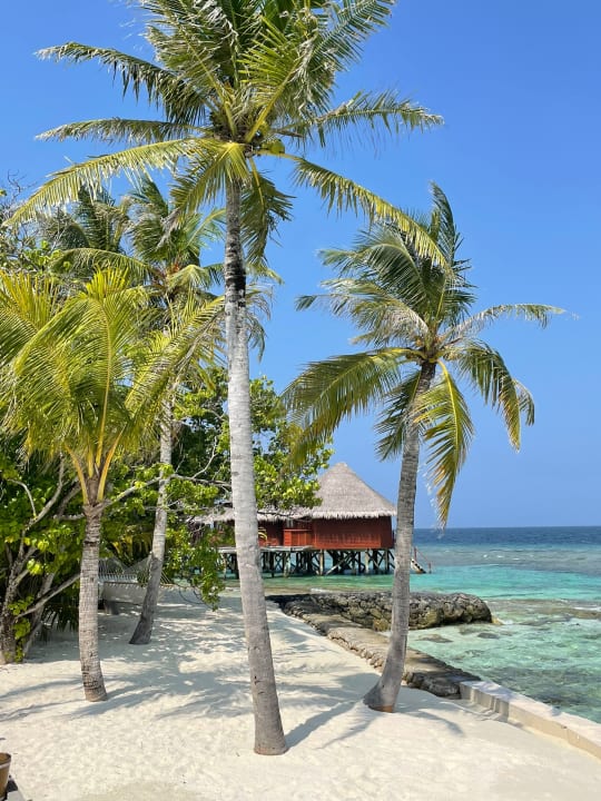 Strand Mirihi Island Resort