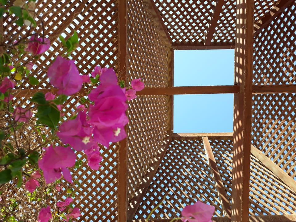 Außenansicht Menaville Safaga