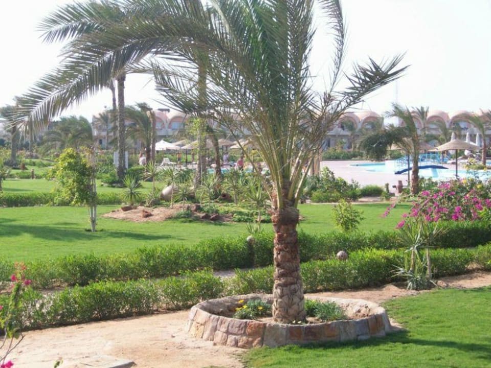 Gartenanlage Three Corners Sea Beach Resort