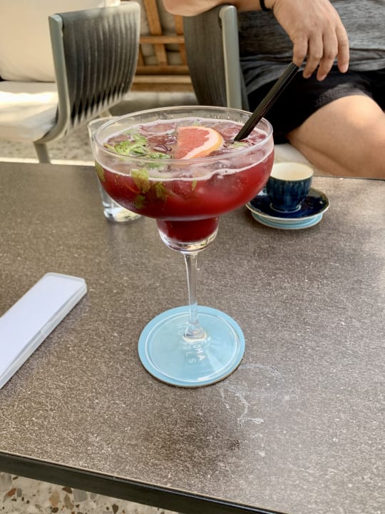 Gastro PALOMA Perissia