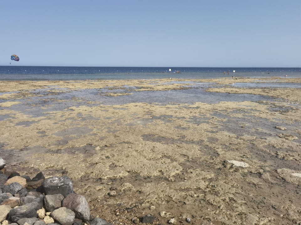 Strand Makadi Palace