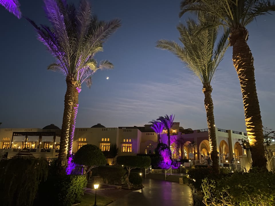 Gartenanlage Steigenberger Coraya Beach - Adults only