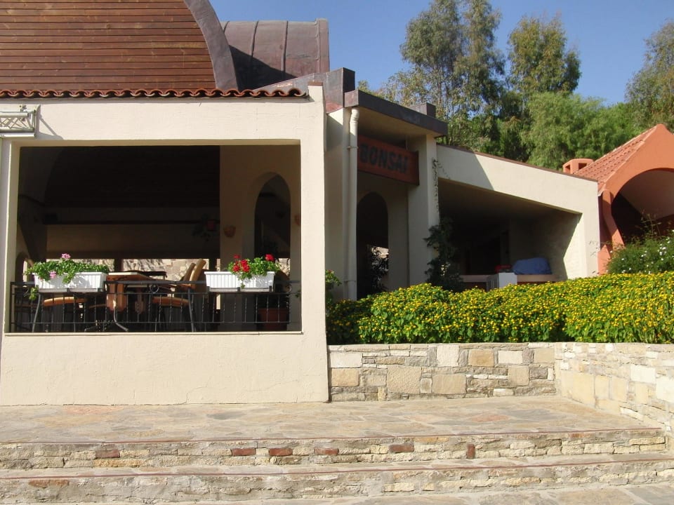 Bonsaibar Arum Barut Collection