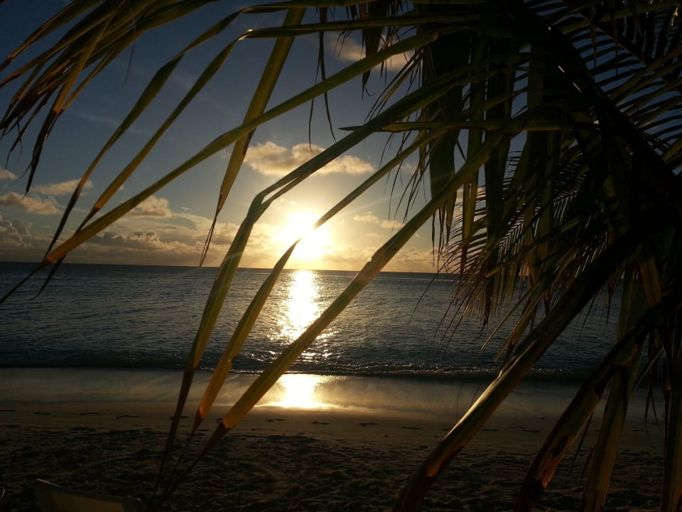 Sonnenaufgang Safari Island Maldives
