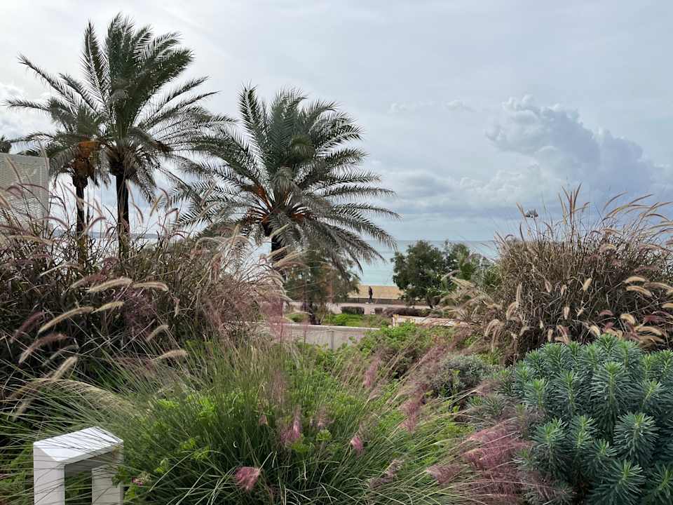 Gartenanlage Iberostar Selection Playa de Palma