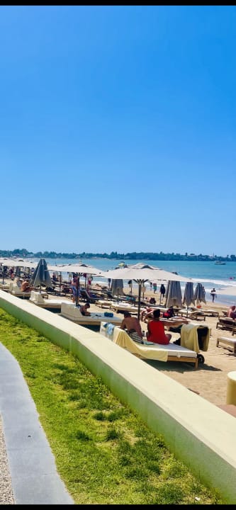 Strand Acanthus Cennet Barut Collection