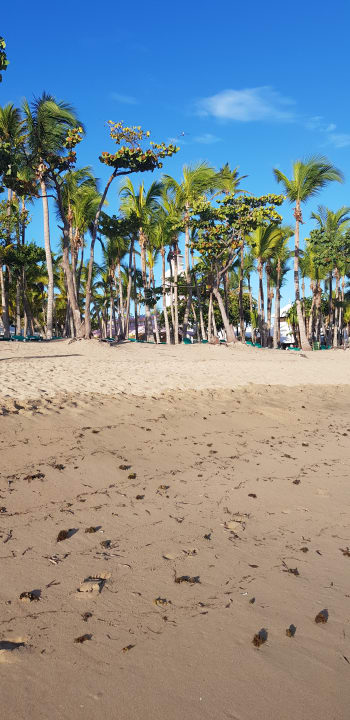 Strand Playabachata Hotel