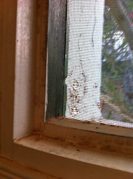 Badezimmerfenster Hotel Sangho Club Zarzis