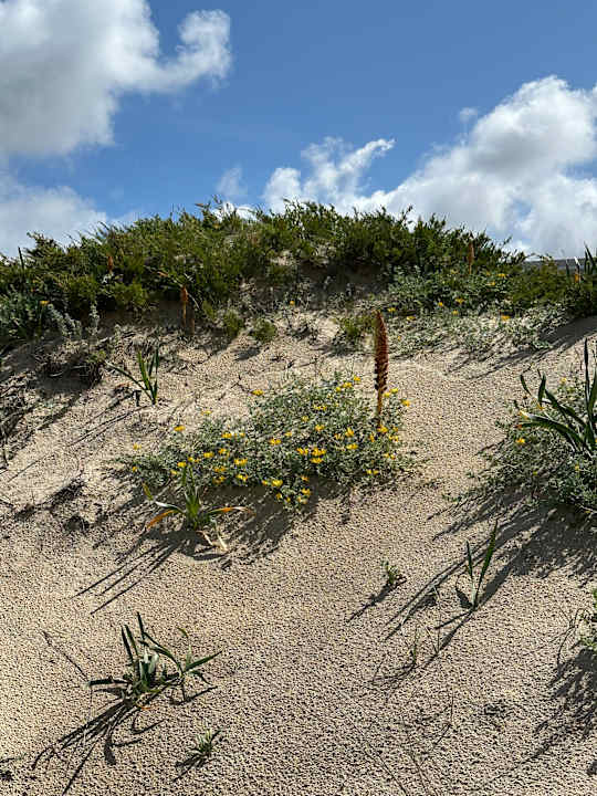 Strand Hipotels Playa la Barrosa