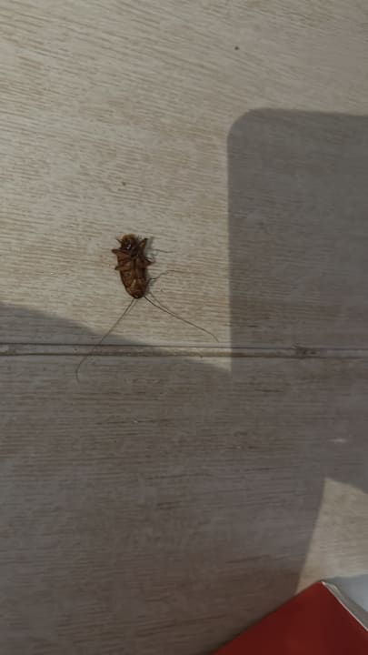 Zimmer El Karma Aqua Beach Resort