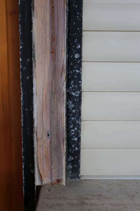 Balkon Apartments in Marina Di Bibbona