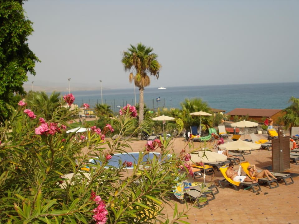 Sehr, schöne gepflegte Anlage H10 Tindaya