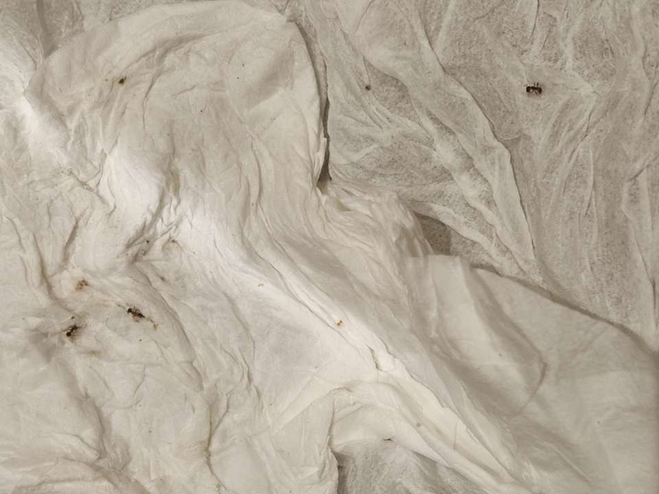 Zimmer PortoBay Falésia