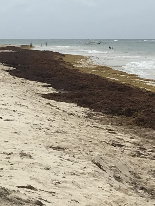 Strand Punta Cana Princess All Suites Resort & Spa