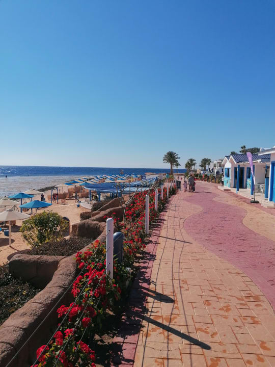 Außenansicht Pickalbatros Palace Resort