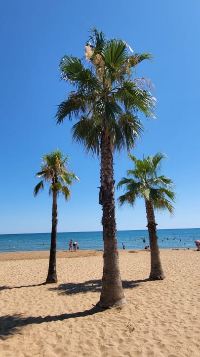 Strand Hotel Süral Resort