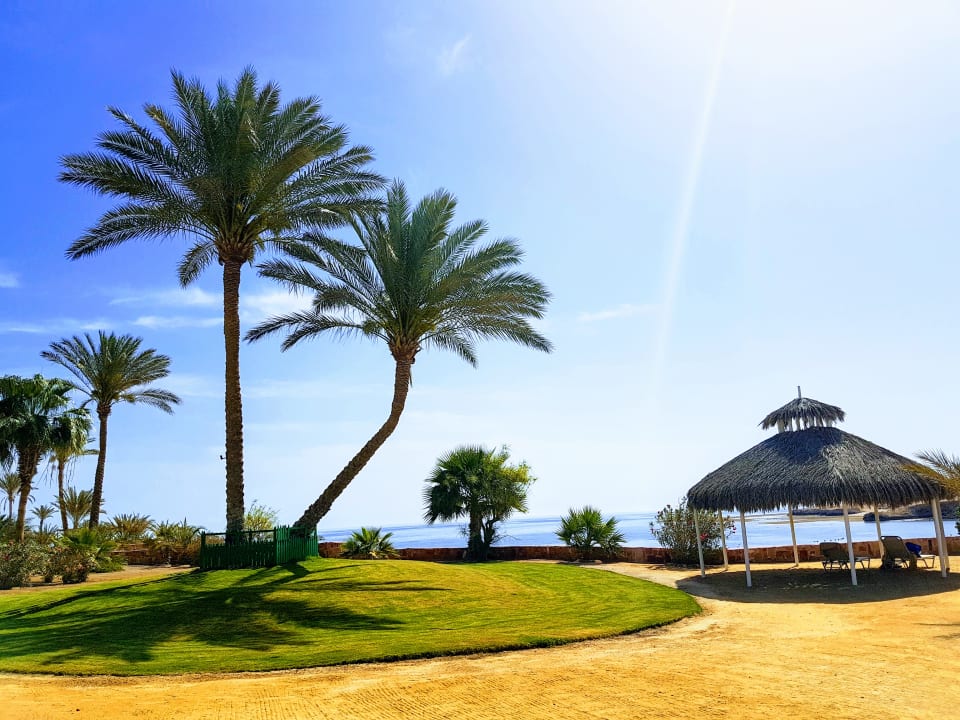 Strand Steigenberger Coraya Beach - Adults only