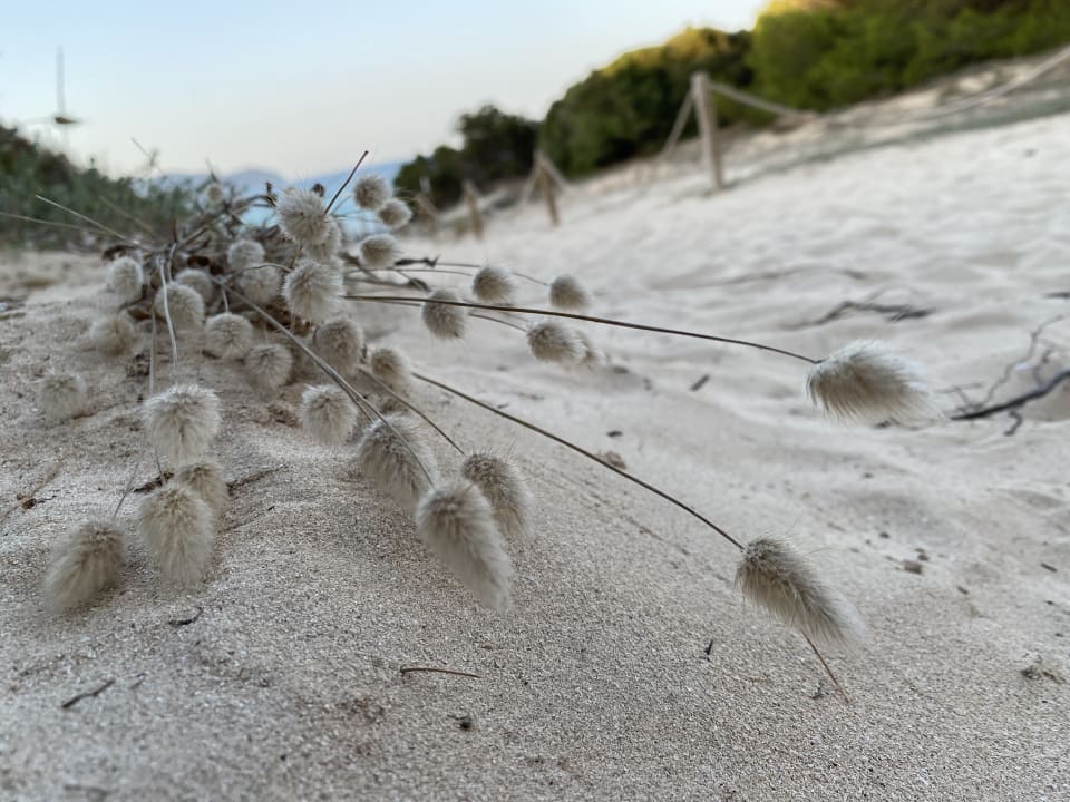 Sonstiges Hipotels Bahía Cala Millor