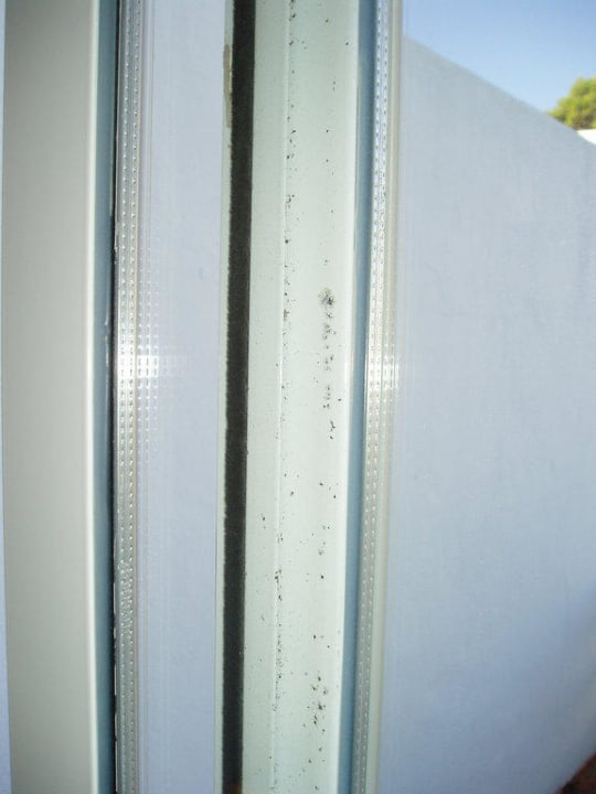 Schwarzschimmel Barceló Portinatx - Adults only