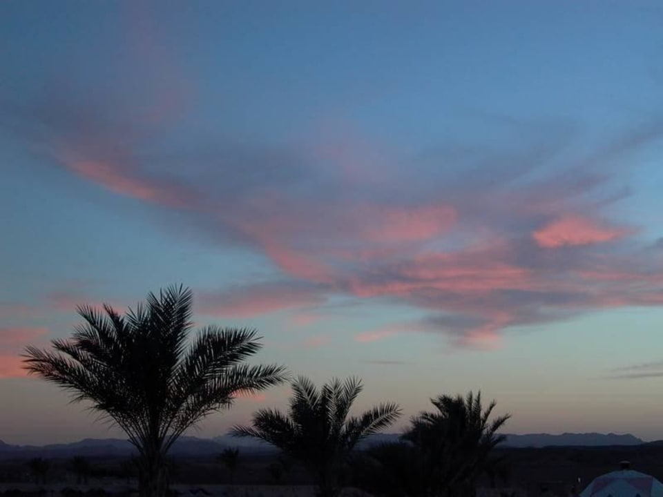 Süden Hotel Coral Garden