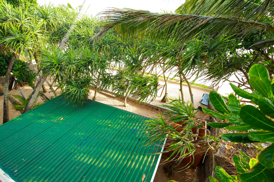 Außenansicht Hotel Haus am Meer Wilde Ananas