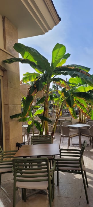 Gastro Can Garden Resort