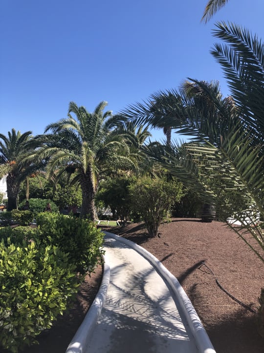 Gartenanlage allsun App.-Hotel Esquinzo Beach