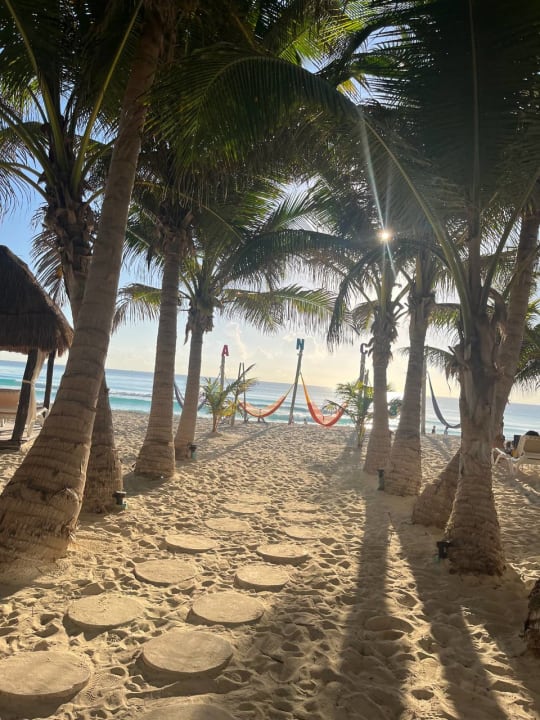Strand Hotel Flamingo Cancun Resort
