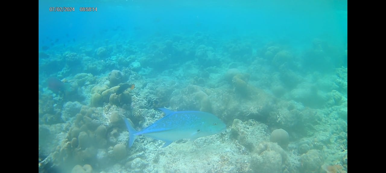 Strand Adaaran Select Meedhupparu Island Resort - Premium All Inclusive