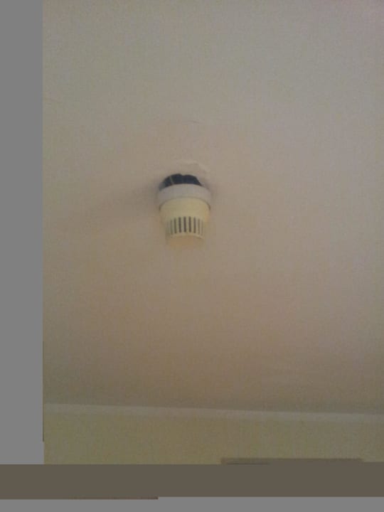 Rachmelder Ghazala Beach