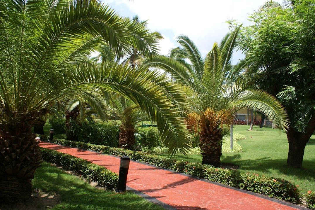 Wanderpfad Grand Palladium Select Bávaro Resort & Spa