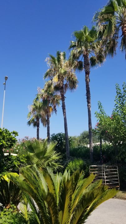 Gartenanlage Royal Seginus