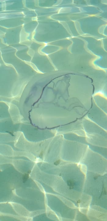 Strand Bahia Principe Luxury Bouganville