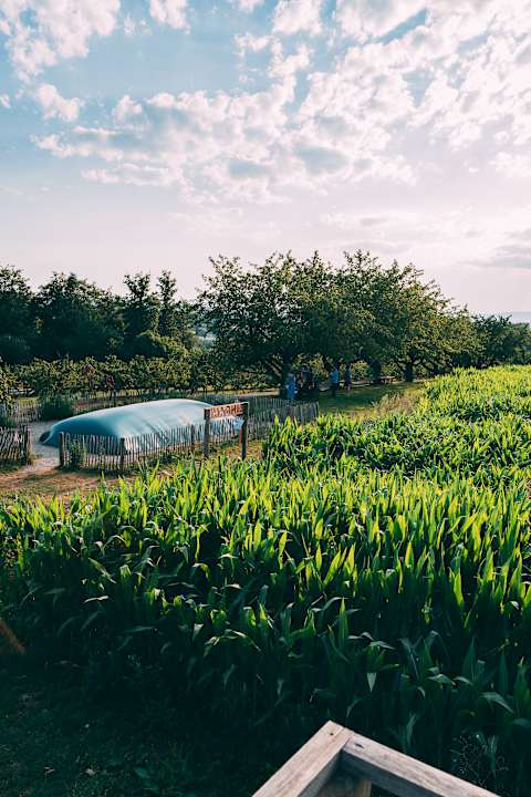 Sport & Freizeit Gut Hügle Erlebnisbauernhof
