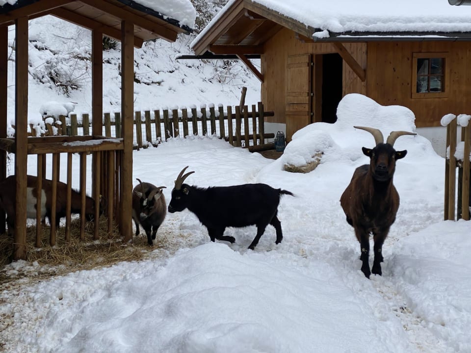 Sonstiges POST Family Resort