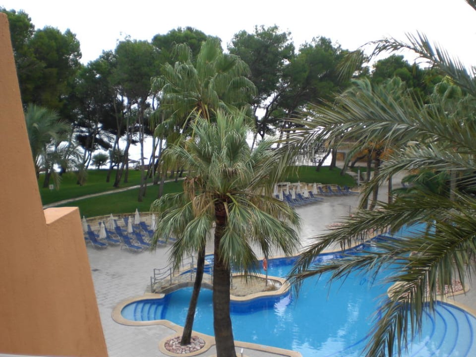 Blick auf den Pool Iberostar Waves Playa de Muro
