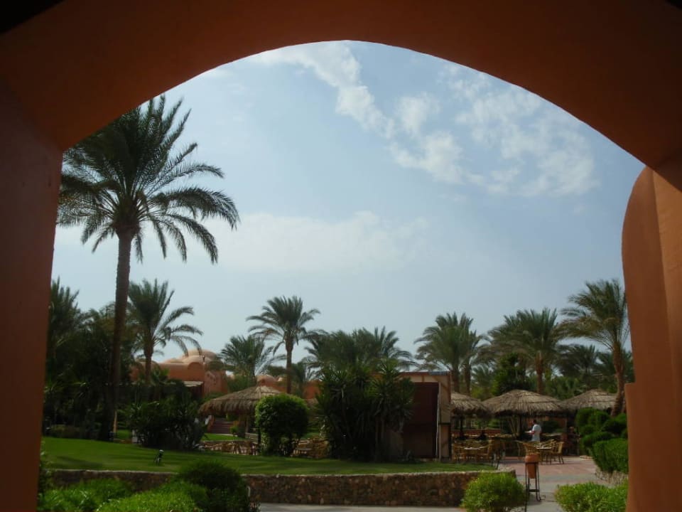 Von der Terrasse Jaz Makadi Oasis Resort