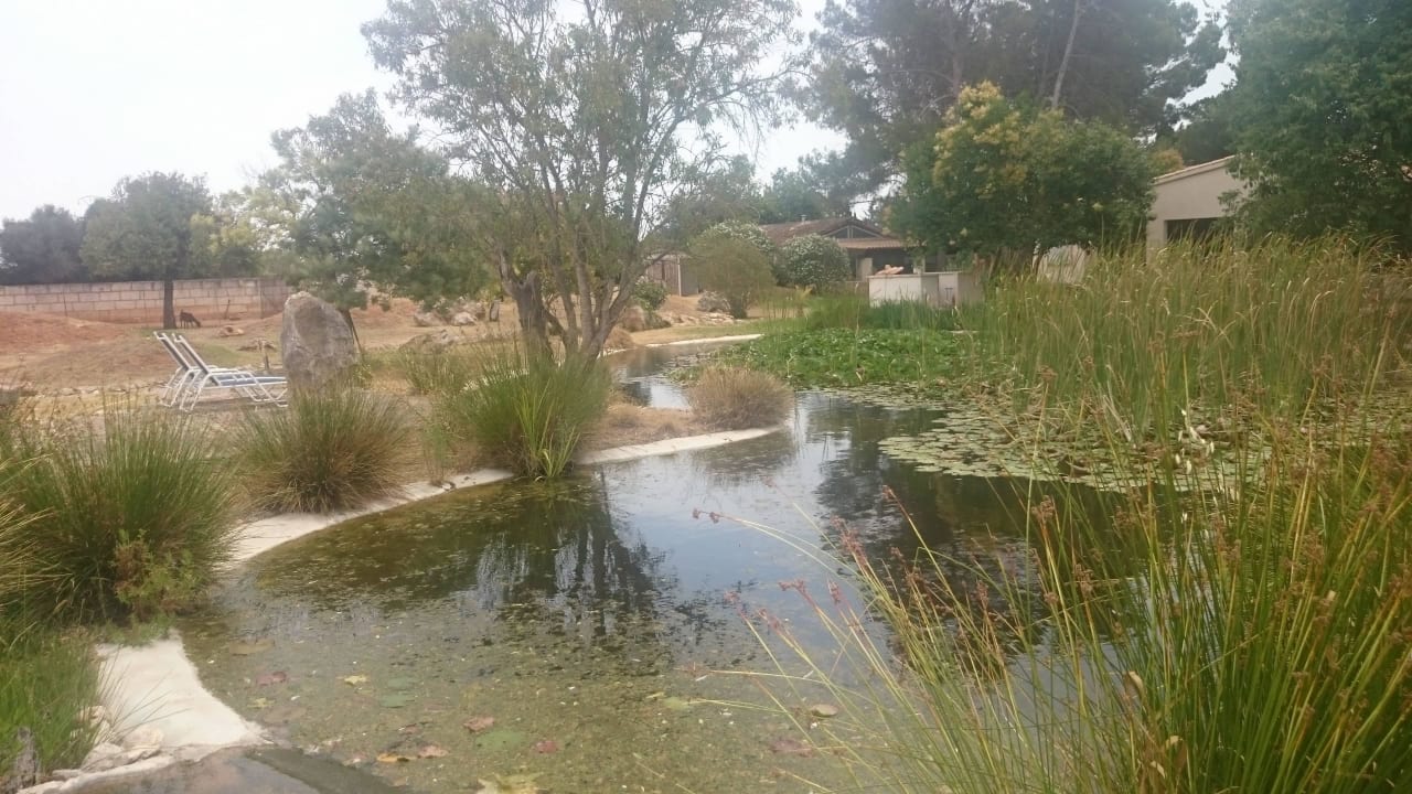 Garten  Resident Landhotel Can Davero