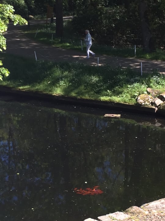 Gartenanlage Golfpark Gut Düneburg